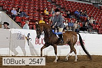 10buck_2547 proof