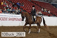 10buck_2561 proof