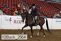 10buck_2564 proof