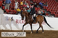 10buck_2567 proof