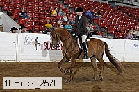 10buck_2570 proof