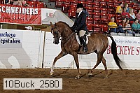10buck_2580 proof