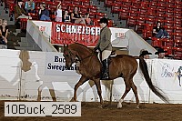 10buck_2589 proof