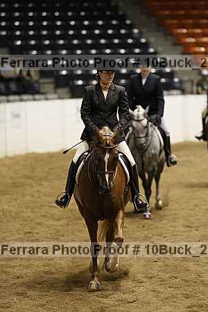 Proof 10buck_2595
