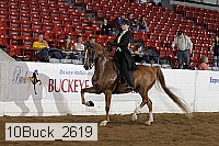 10buck_2619 proof