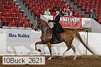 10buck_2621 proof