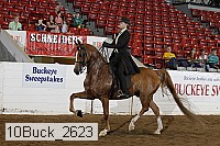 10buck_2623 proof