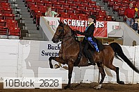 10buck_2628 proof