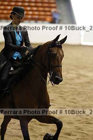 Proof 10buck_2629