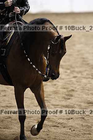 Proof 10buck_2645