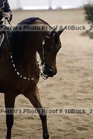 Proof 10buck_2646