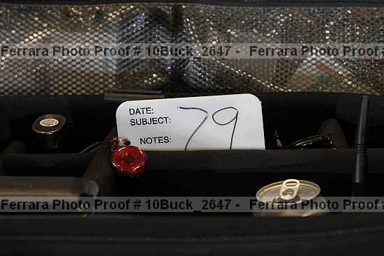 Proof 10buck_2647