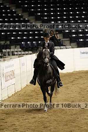 Proof 10buck_2651