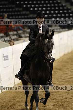 Proof 10buck_2653