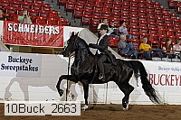 10buck_2663 proof