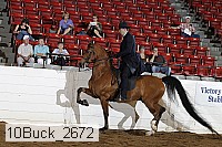 10buck_2672 proof