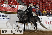 10buck_2675 proof