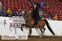 10buck_2677 proof
