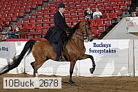 10buck_2678 proof