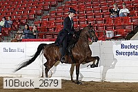 10buck_2679 proof