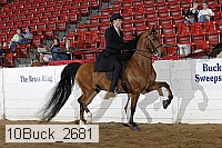 10buck_2681 proof