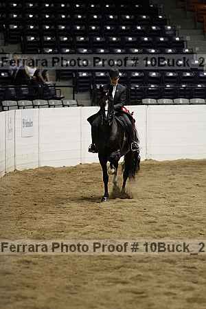 Proof 10buck_2682