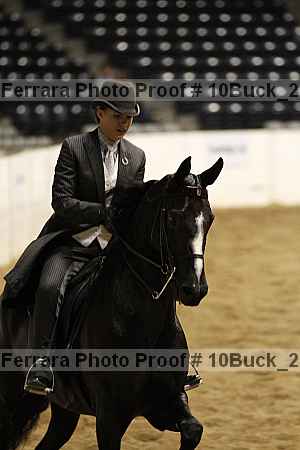 Proof 10buck_2683