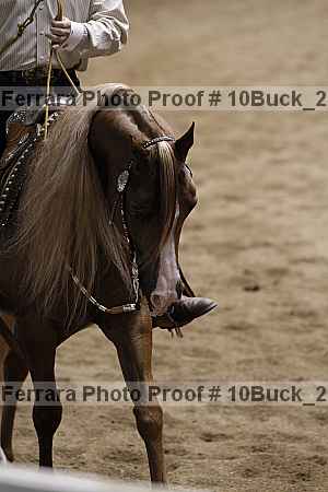 Proof 10buck_2690