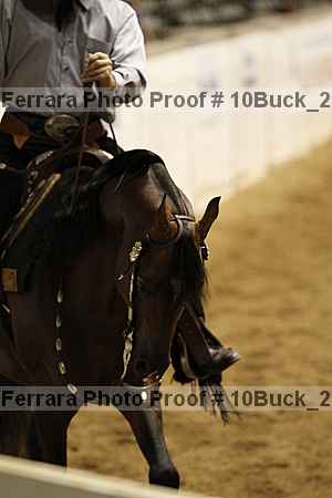 Proof 10buck_2694