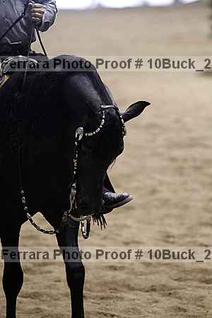 Proof 10buck_2697