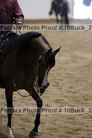 Proof 10buck_2702