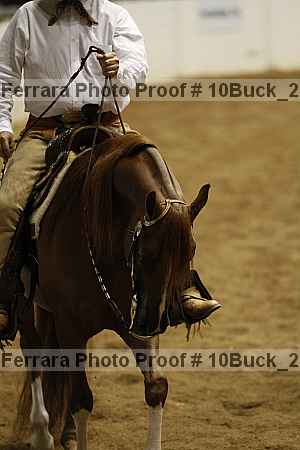 Proof 10buck_2703