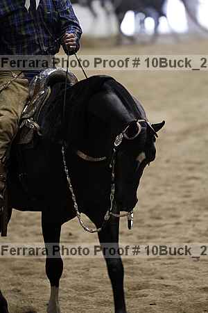 Proof 10buck_2707