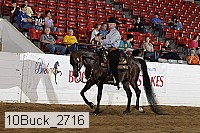10buck_2716 proof