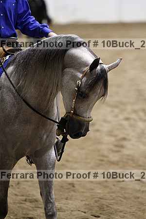 Proof 10buck_2717