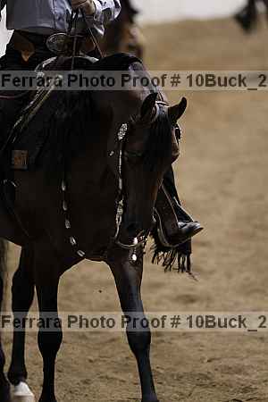 Proof 10buck_2719