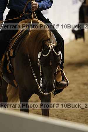 Proof 10buck_2720