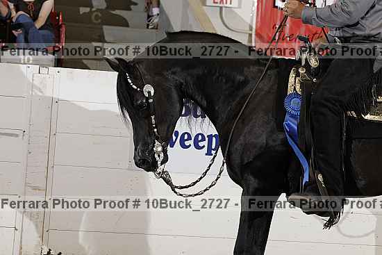 Proof 10buck_2727