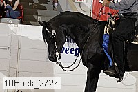 10buck_2727 proof
