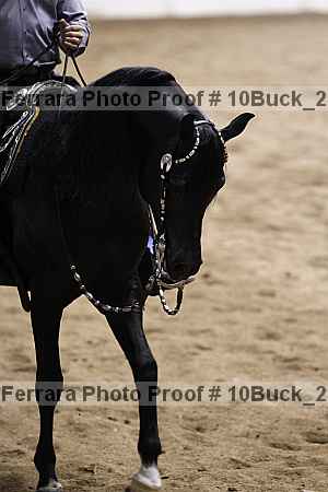 Proof 10buck_2729