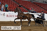 10buck_2732 proof