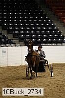 10buck_2734 proof