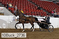 10buck_2736 proof
