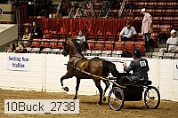10buck_2738 proof