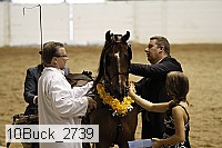 10buck_2739 proof