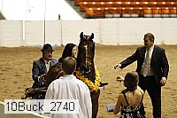 10buck_2740 proof
