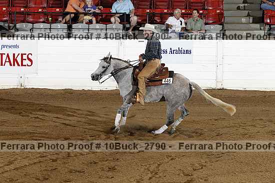 Proof 10buck_2790