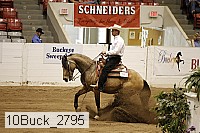 10buck_2795 proof