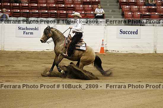 Proof 10buck_2809