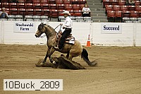 10buck_2809 proof
